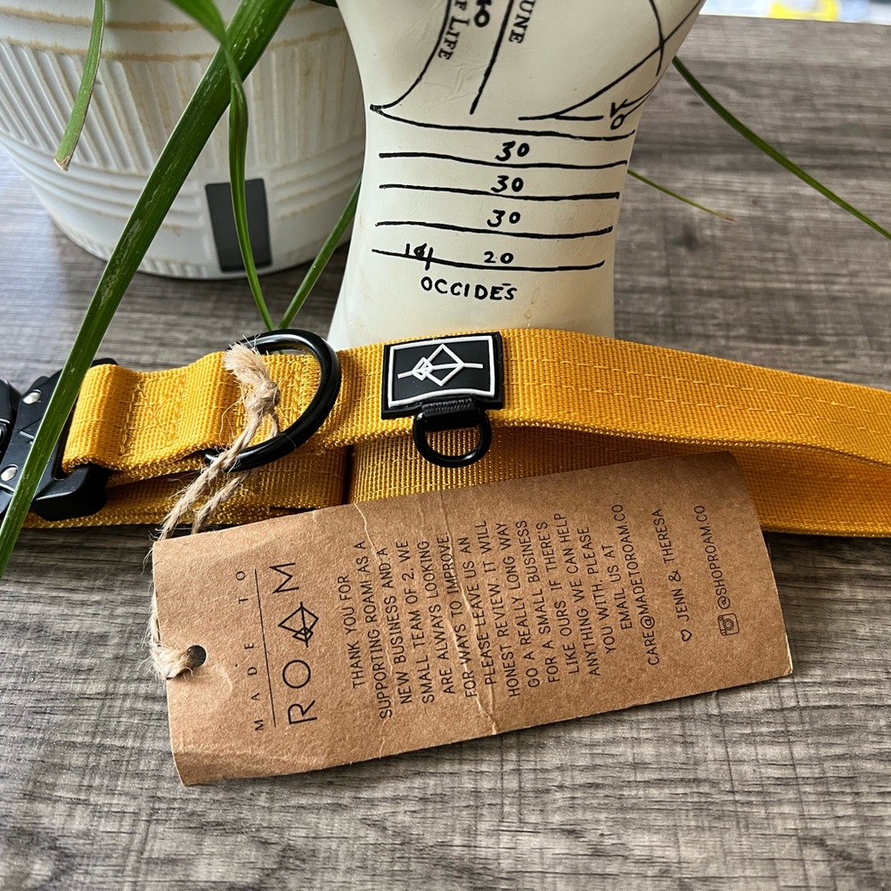ROAM Yellow Dog Collar